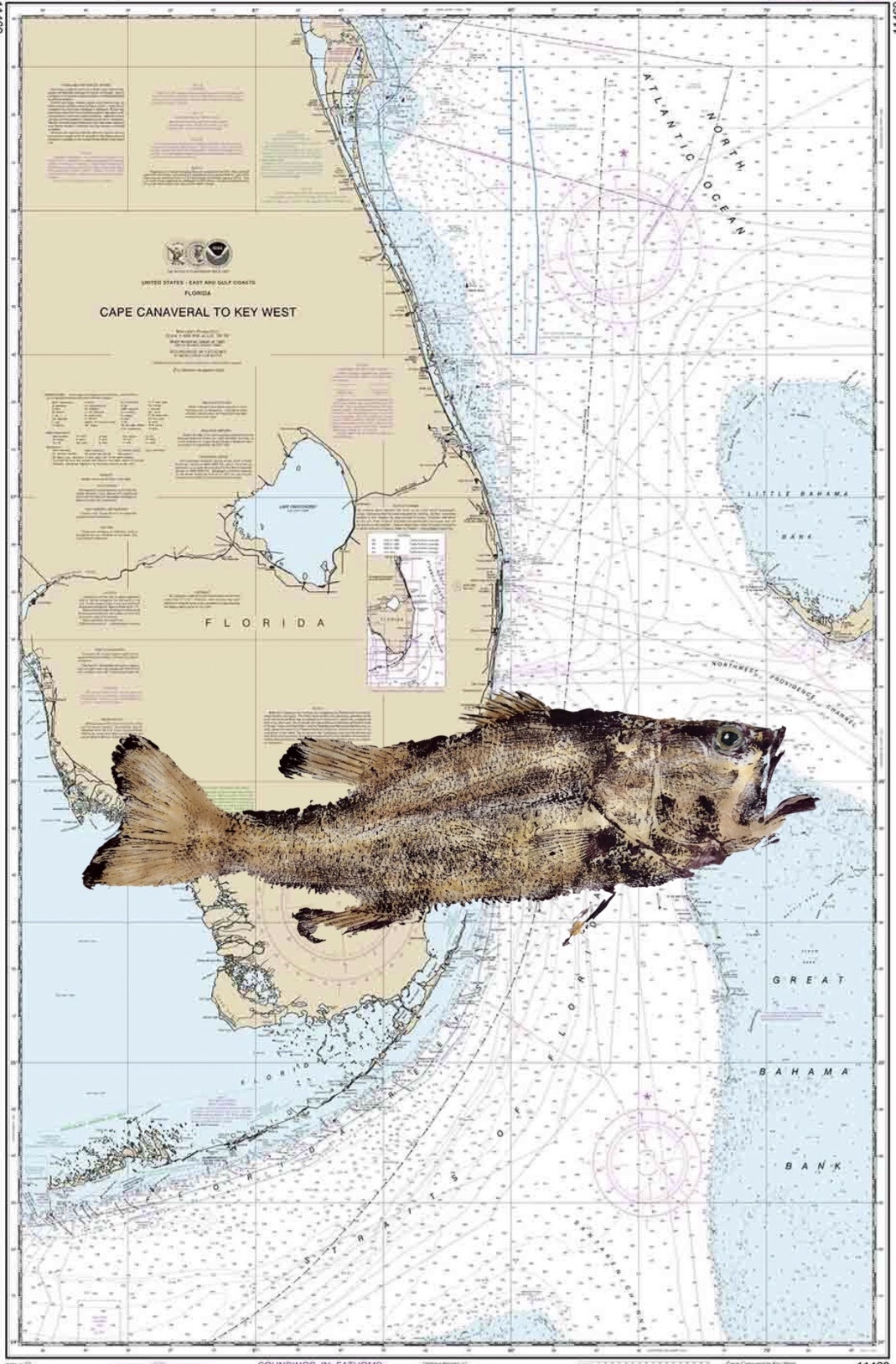 fullsizeoutput_25a2-1